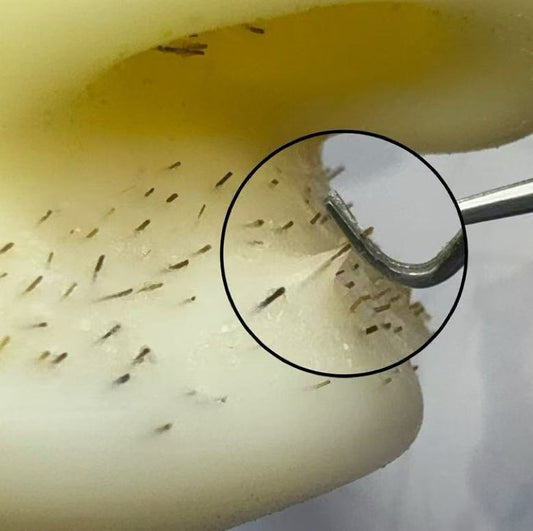 【Pluck & Squeeze Stress Zappers】Super Satisfying Beard - Pulling Toy - Poke >_<