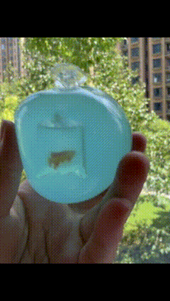 Handmade Ocean Goldfish Bag Squishy Ball – Ultra Soft & Slow Rising Fidget Toy for Weak Grip