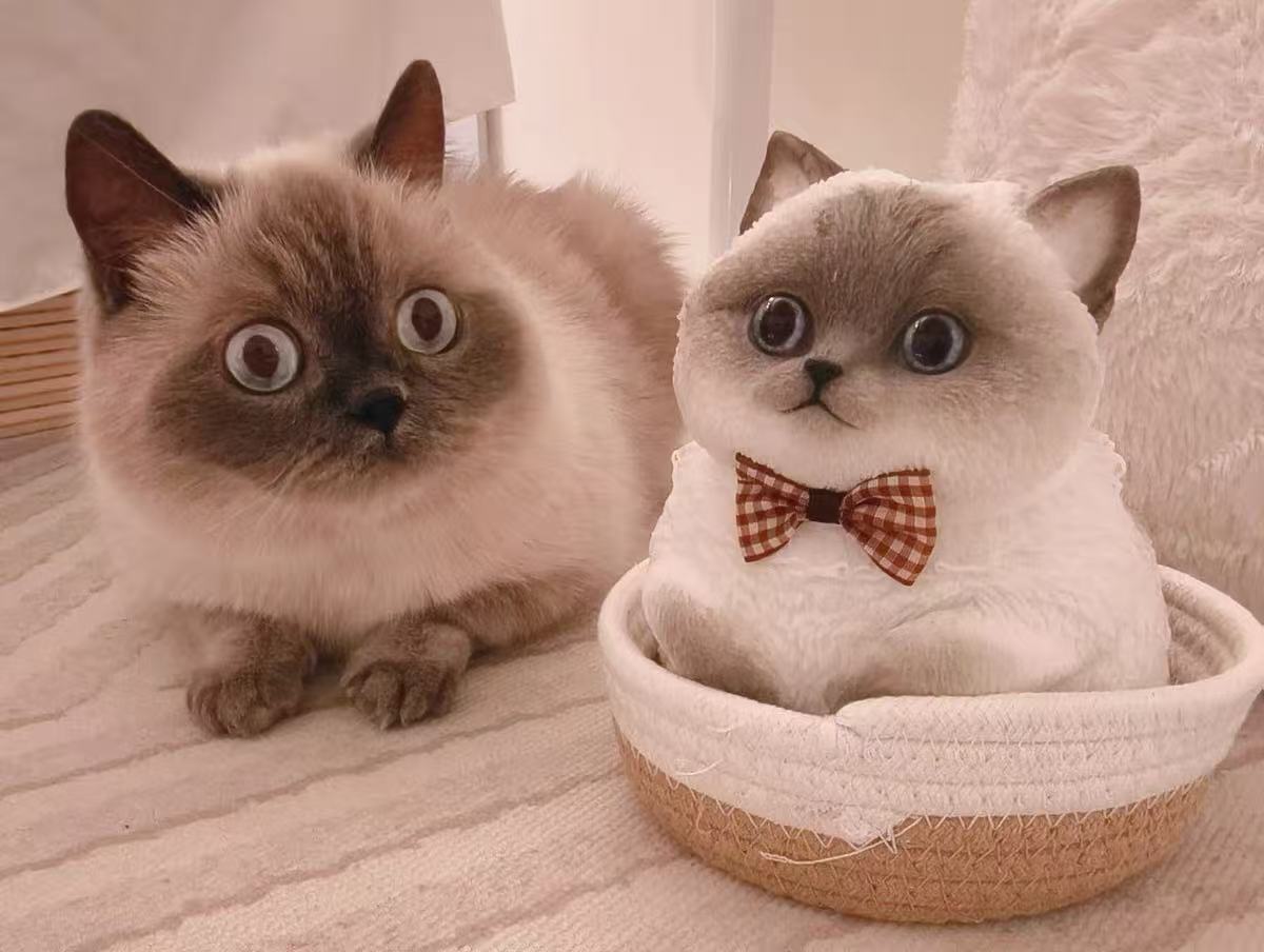 【Customize with Your Image】Giant Handmade Cat Squishy - Poke >_<